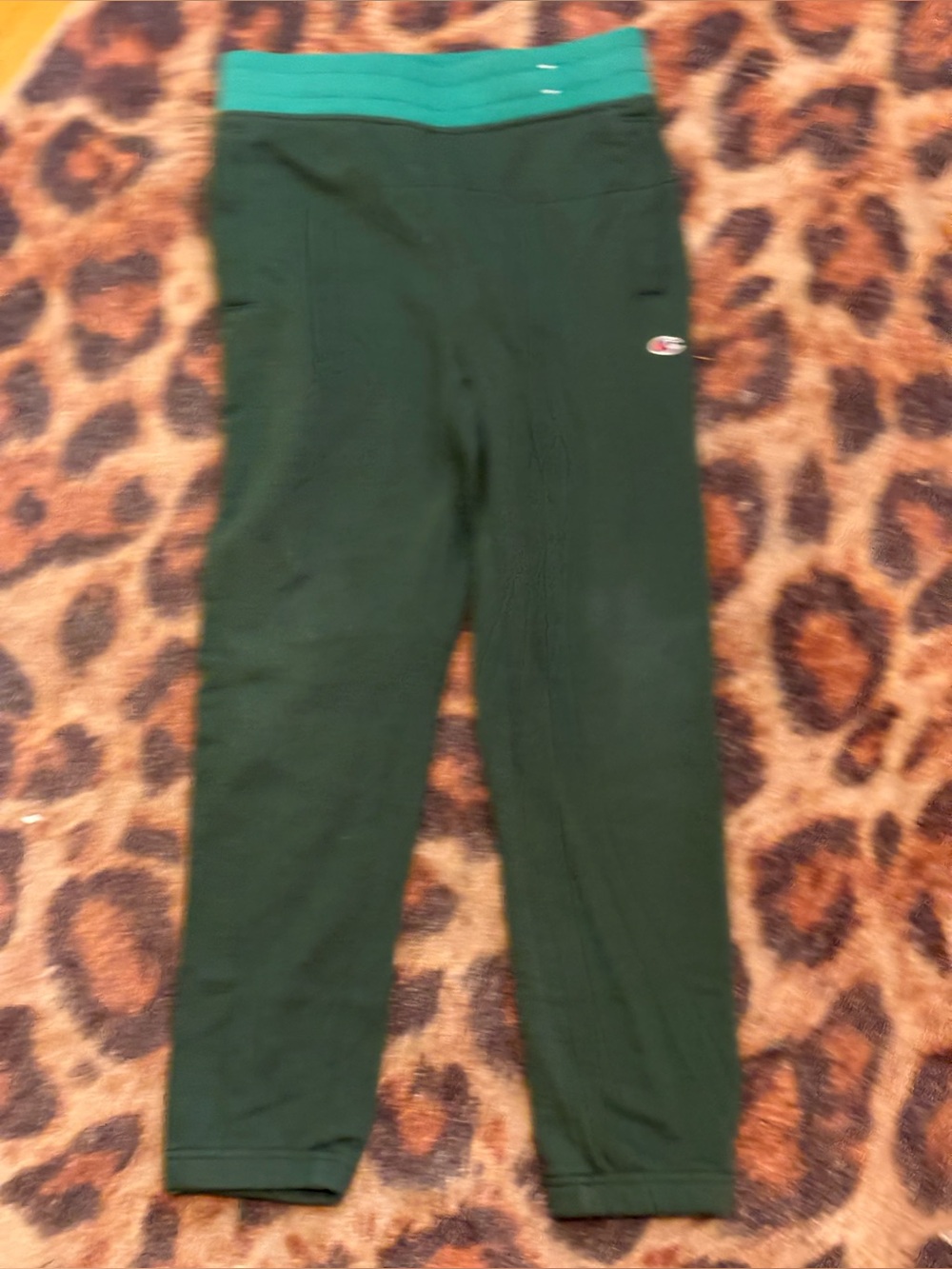 Champion Kids Dark Green Leggings with Teal Waistband